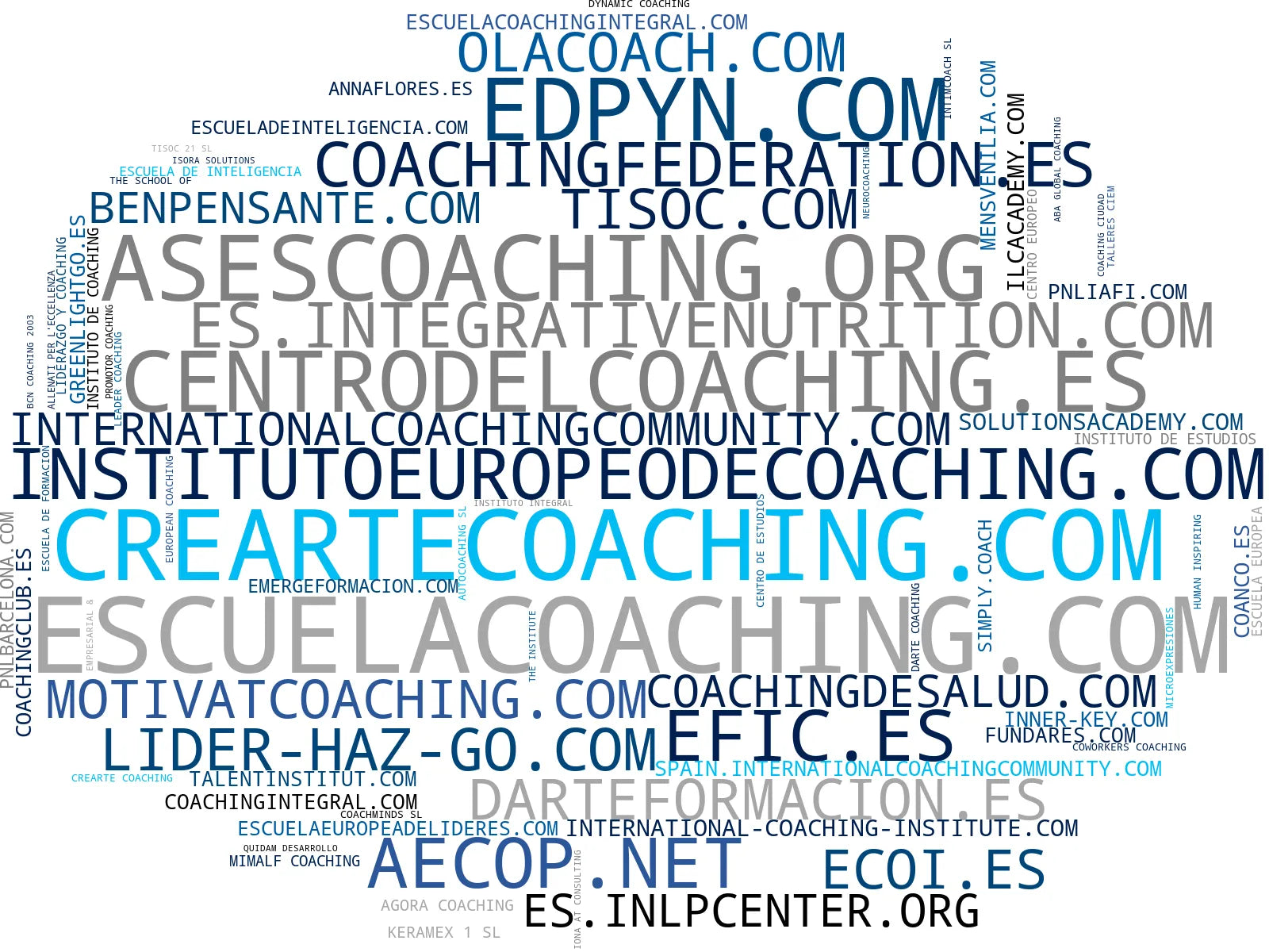 wordcloud de mercado cursos coaching profesional, cursos PNL presencial, coaching ejecutivo online