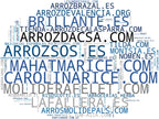 empresas españolas del sector arroz basmati, arroz de grano corto, arroz ecológico