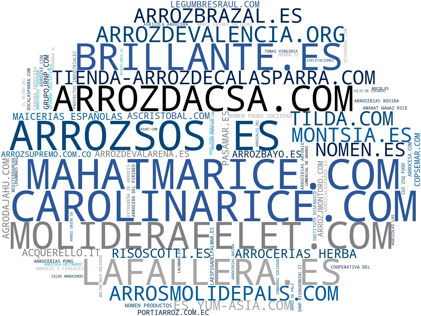 empresas españolas del sector arroz basmati, arroz de grano corto, arroz ecológico