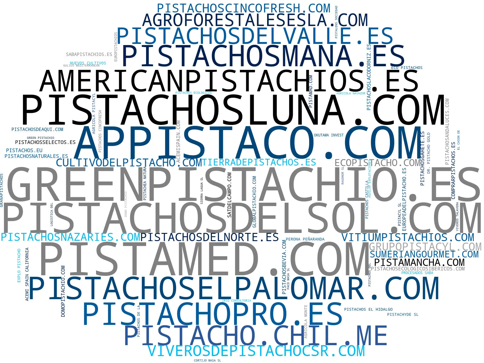 nube de conceptos pistachos ecológicos, pistacho harina, pistachos secos