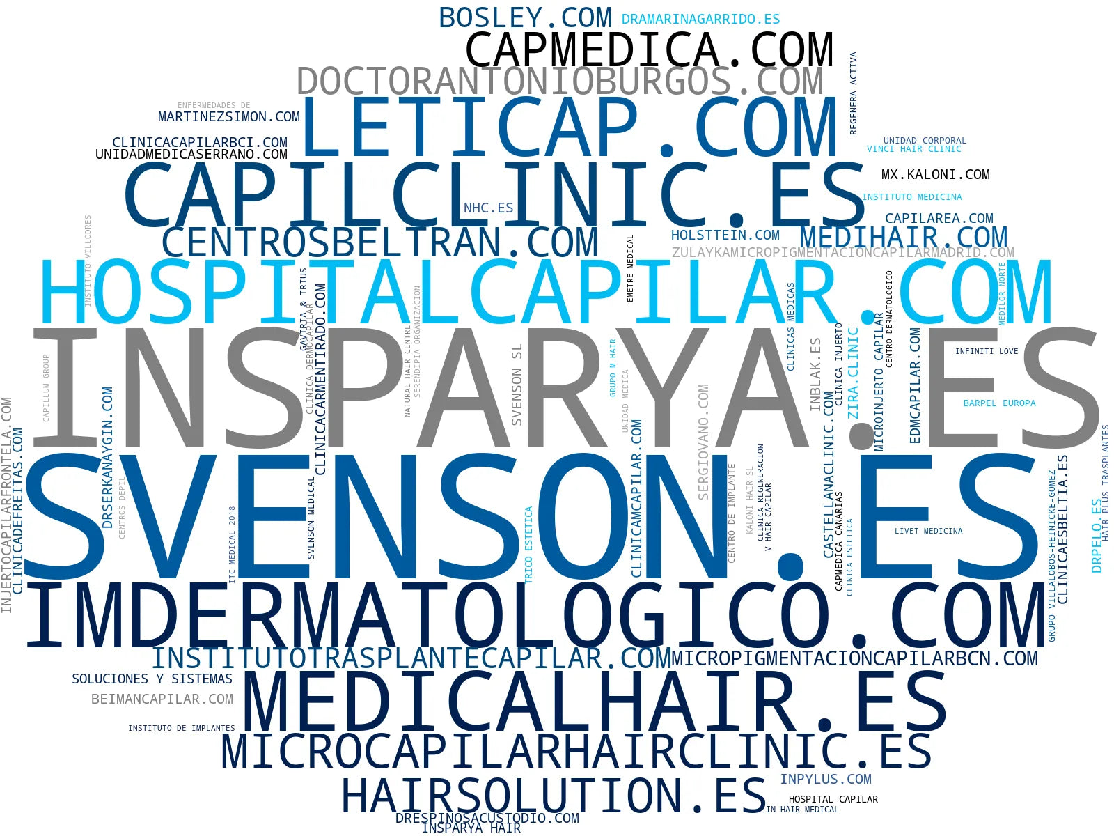 empresas mas grandes del nicho injerto capilar, injerto de barba, trasplante de barba