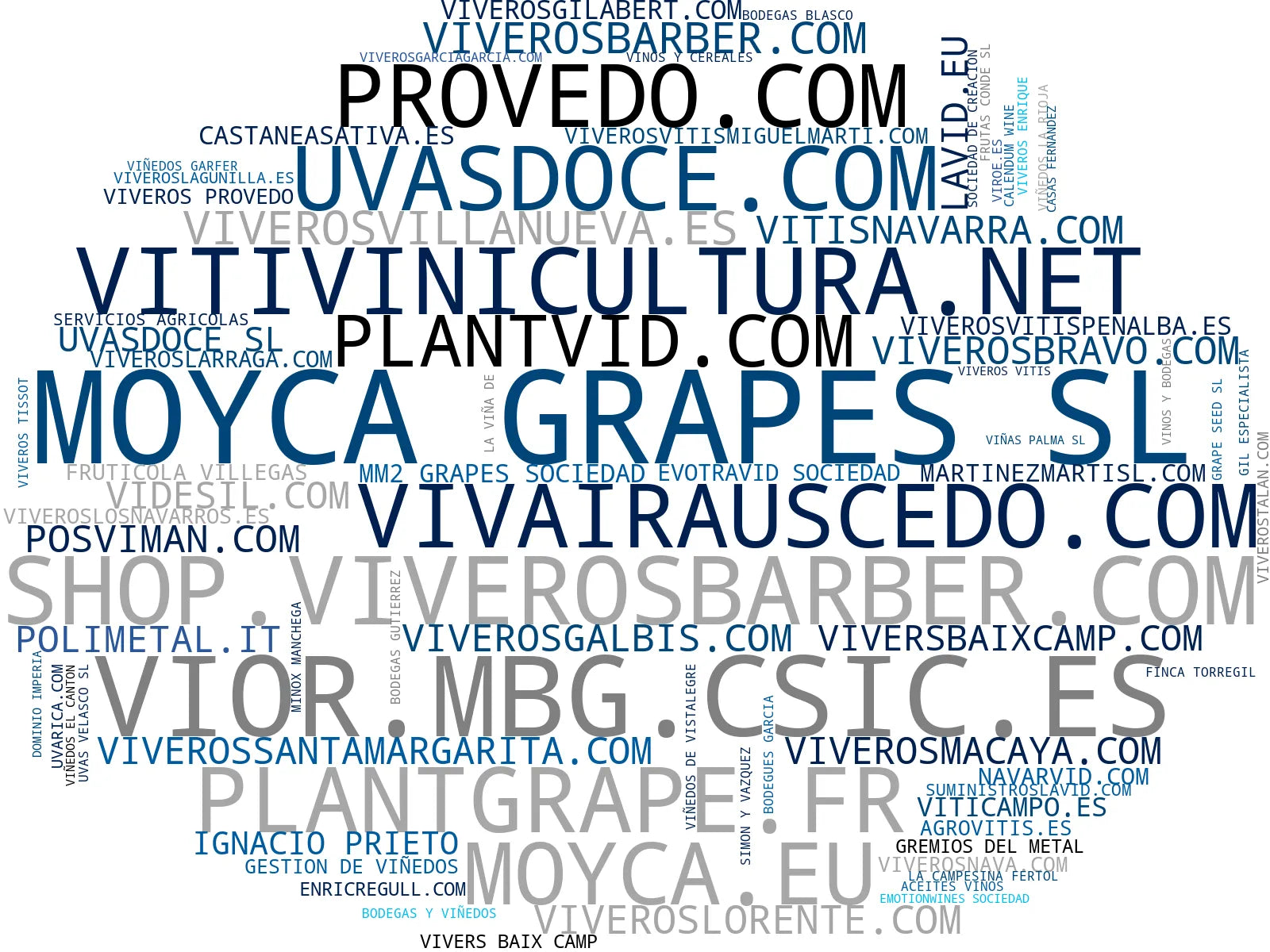 mapa de términos plantas de vid, selección portainjertos, injertos de vid