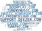 top competidores del nicho descarga música MP3, reproductor de audio, conversor de video