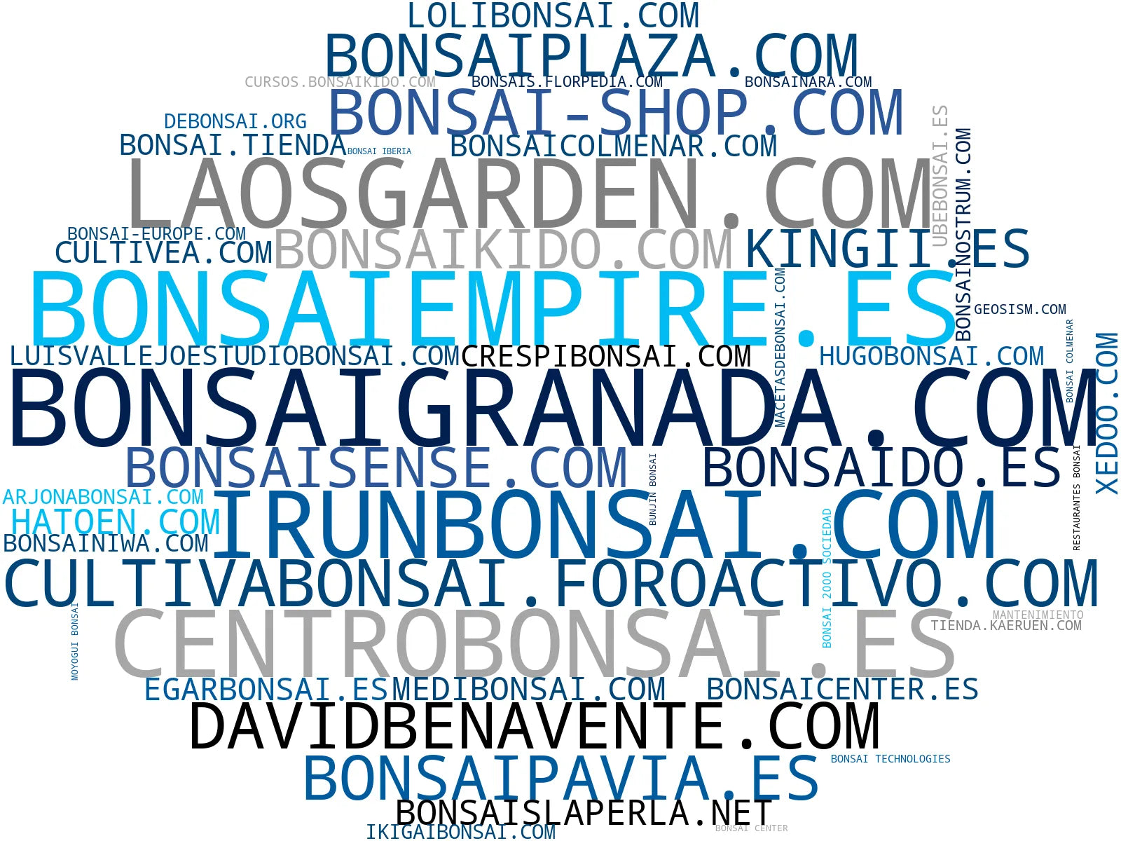 nube de conceptos árboles bonsái, kits bonsái, materiales bonsái