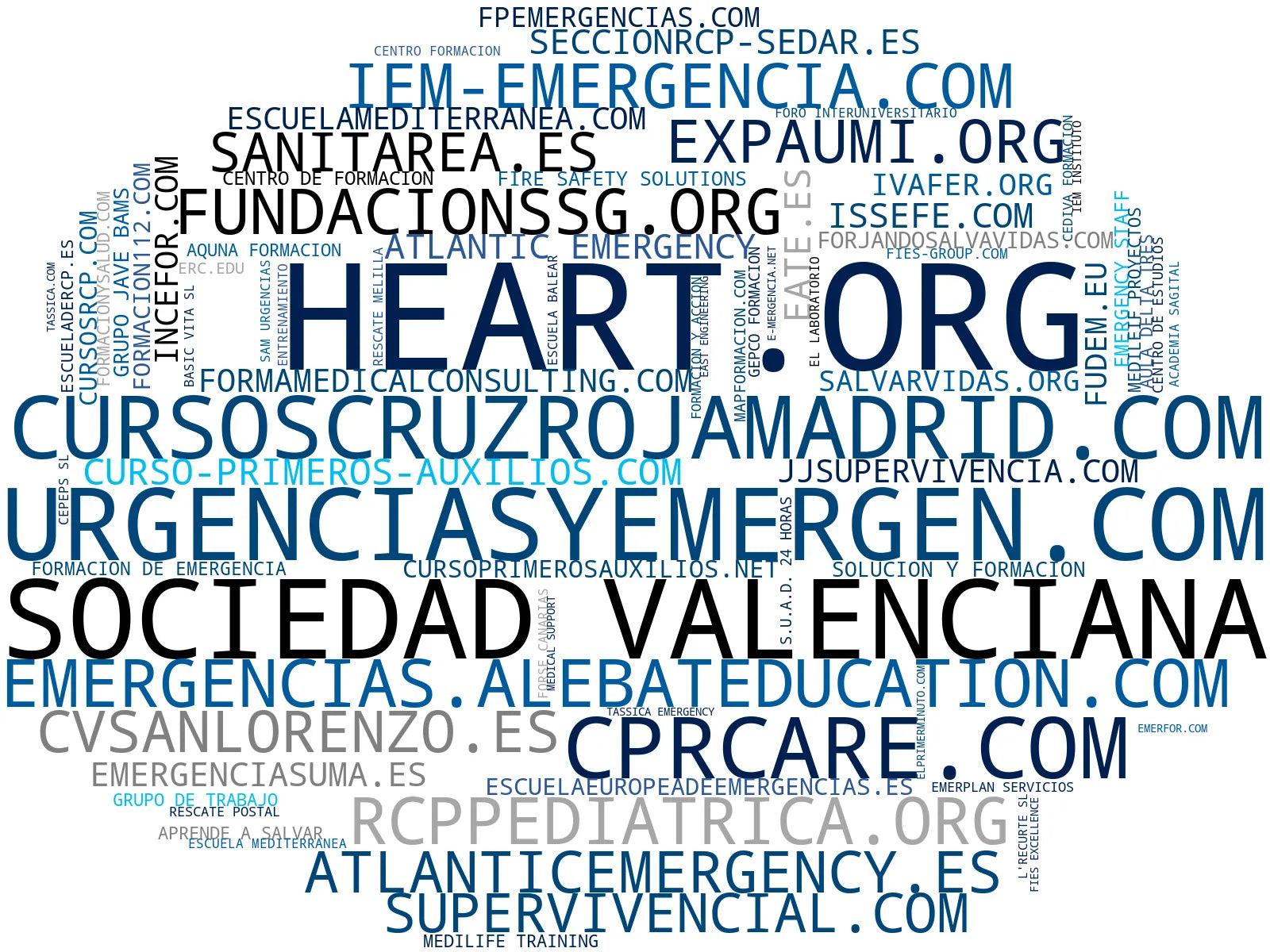 empresas mas grandes del nicho capacitación en soporte vital, formación en gestión de emergencias, entrenamiento de RCP