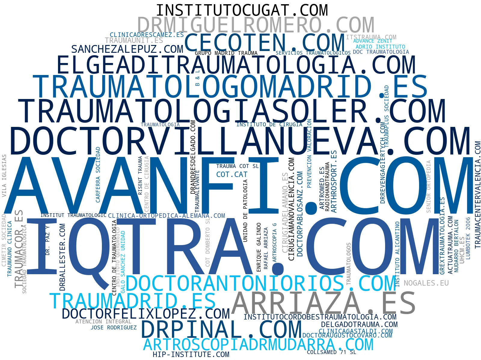 top competidores del nicho medicina deportiva, reemplazo articular, cirugía de cadera