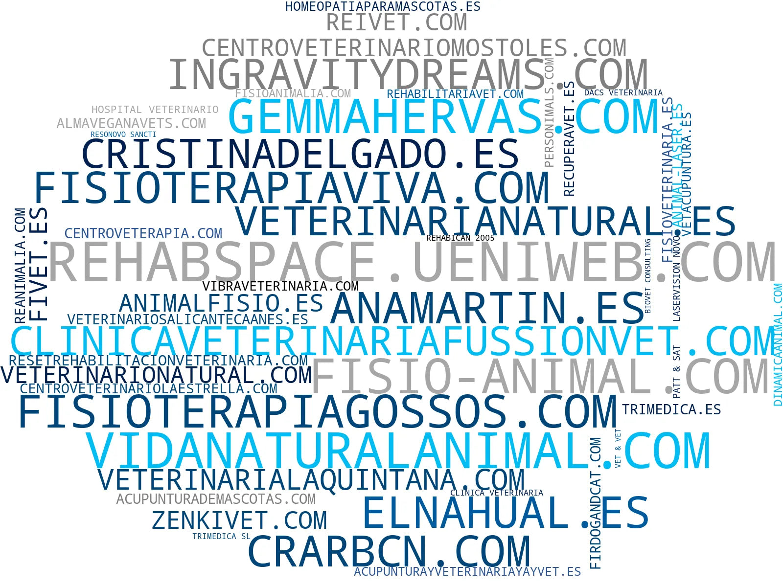 mapa de términos rehabilitación animal, hidroterapia mascotas, nutrición natural mascotas