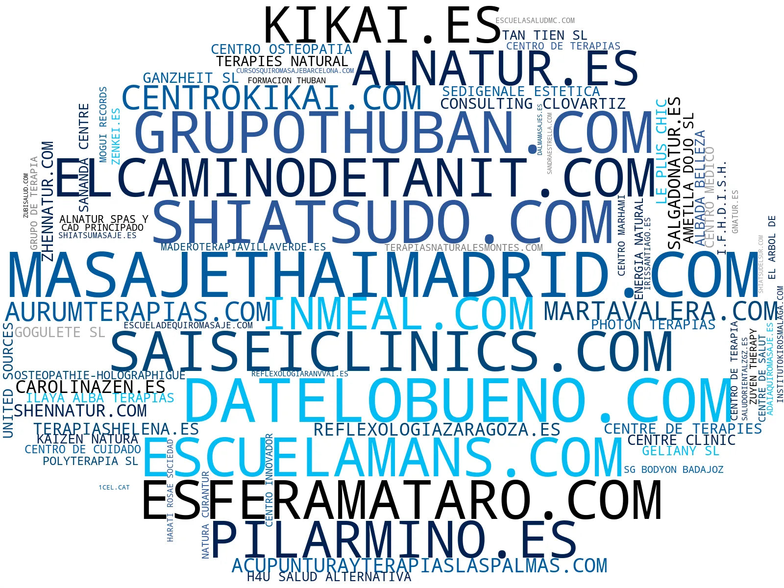 top empresas del rubro masaje terapéutico, biorresonancia, shiatsu