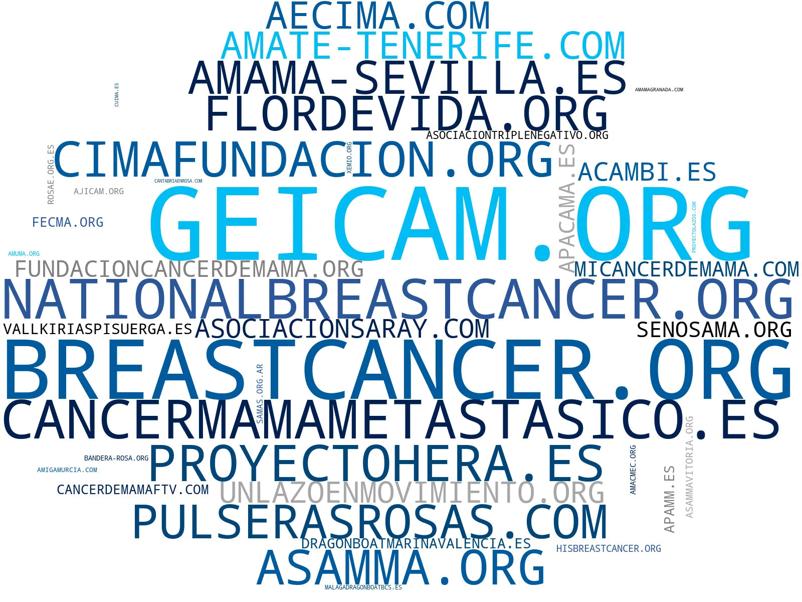 nube de conceptos investigación cáncer mamario, micropigmentación areolas, grupos de apoyo