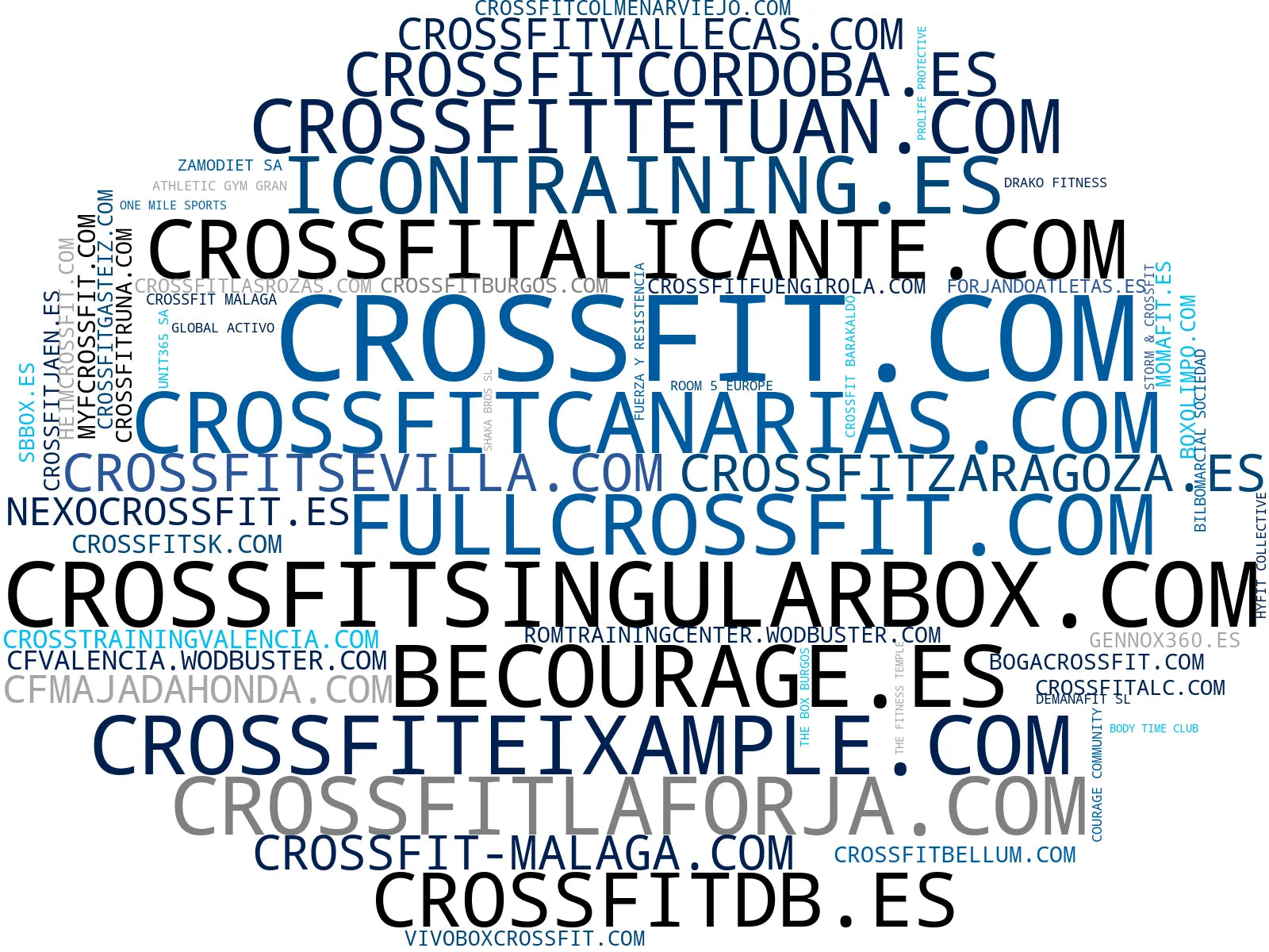 top competidores del nicho clases de crossfit, cross training, clases de yoga