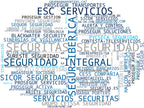 wordcloud de mercado guardias de seguridad, seguridad física, ciberseguridad empresarial