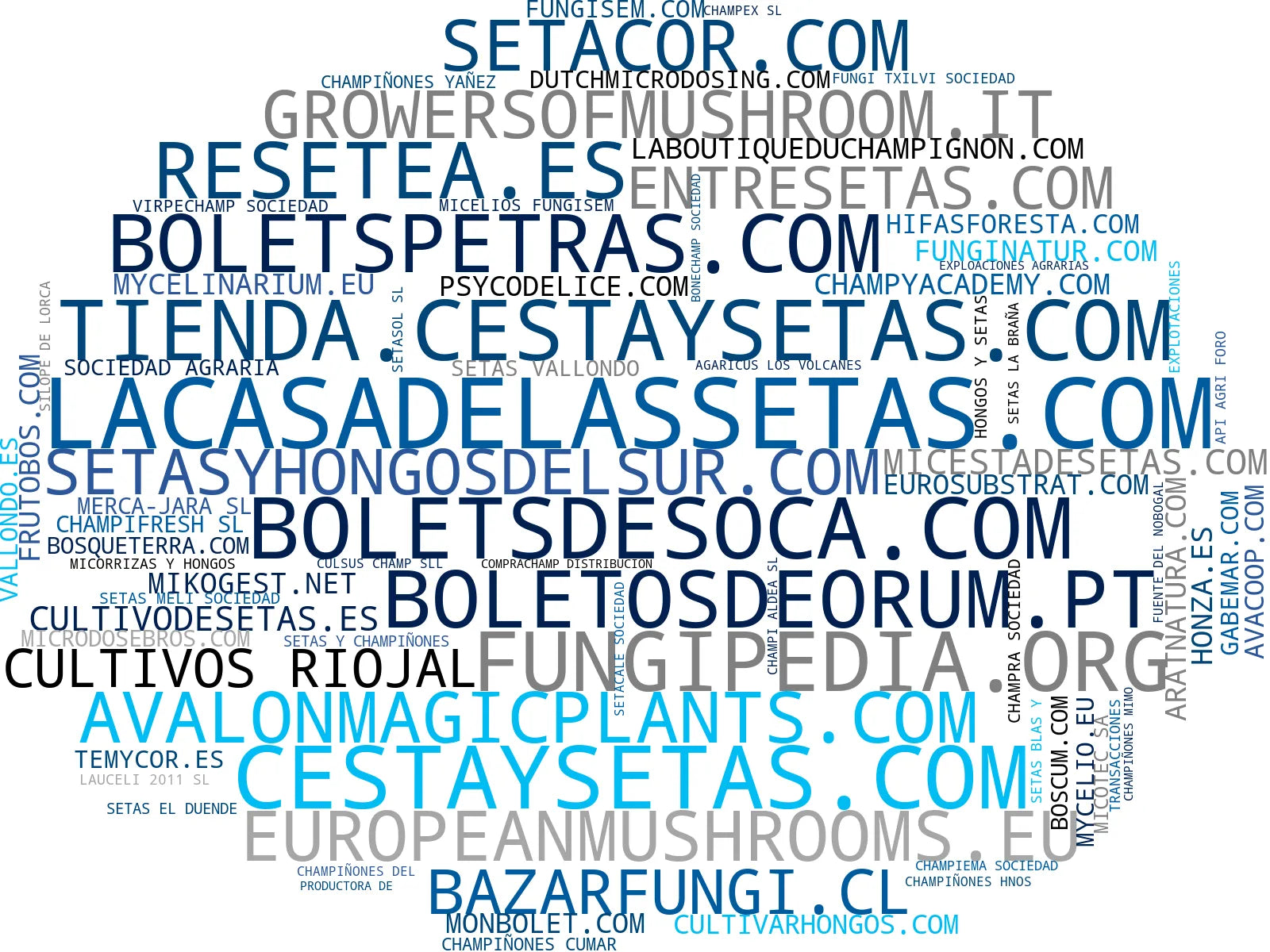 wordcloud de mercado setas frescas, setas congeladas, sustrato cultivo setas