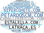 top empresas del rubro espectáculos pirotécnicos, confeti, castillos de fuego