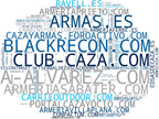 wordcloud de mercado munición, equipamiento de tiro, armas de aire