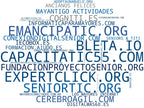 empresas mas grandes del nicho cursos online mayores, realidad virtual mayores, programas inclusión digital