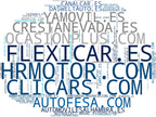wordcloud de mercado vehículos ocasión, entrega a domicilio, servicio taller