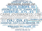 top empresas españa rubro voluntariado joven, recursos educativos, apoyo socioeducativo