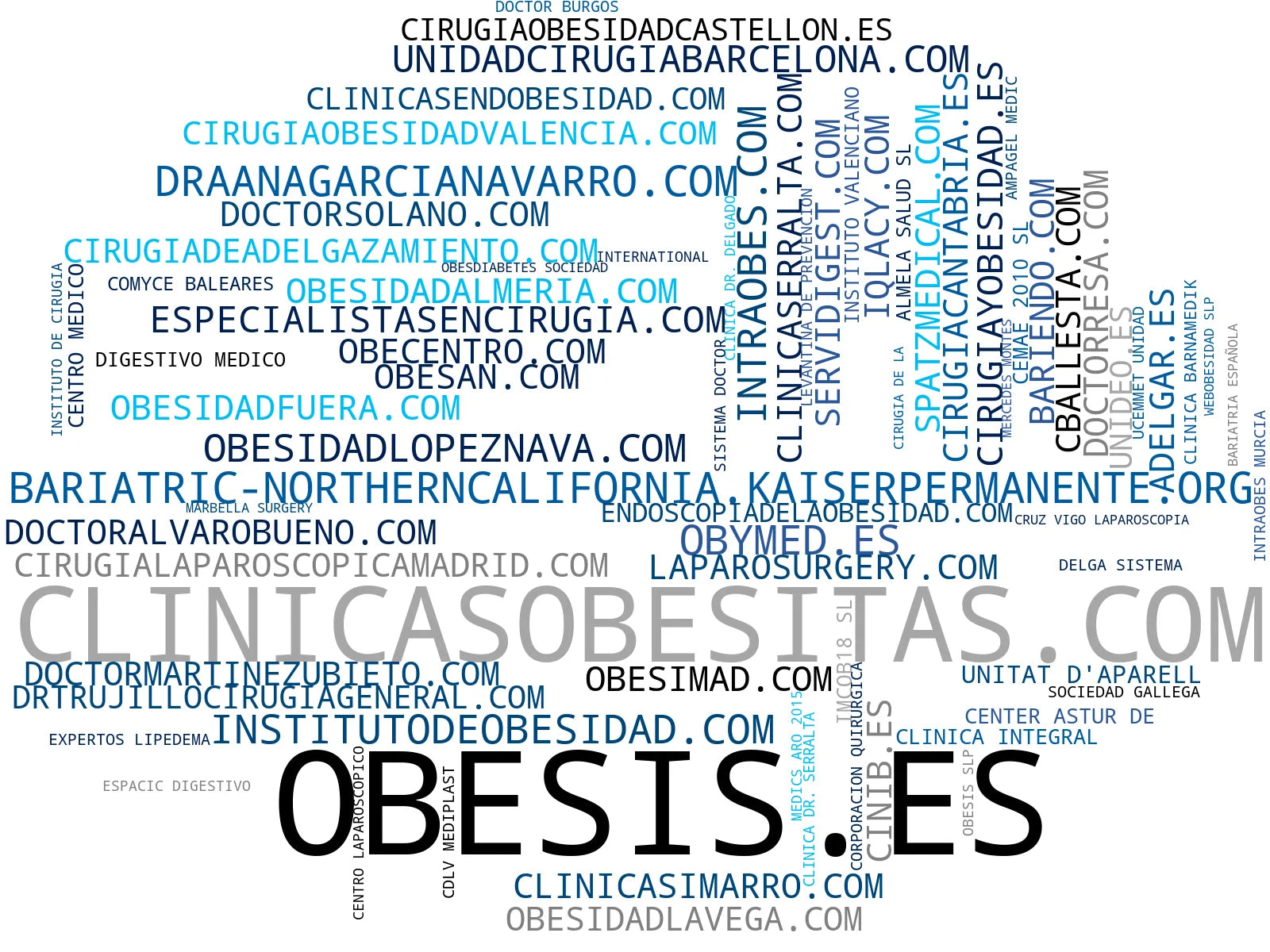 top empresas del rubro balón gástrico, endoscopia digestiva, nutrición bariátrica