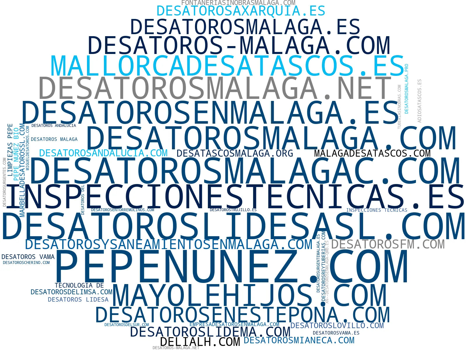 top competidores del nicho inspección de tuberías, limpieza de aljibes, desatasco de tuberías
