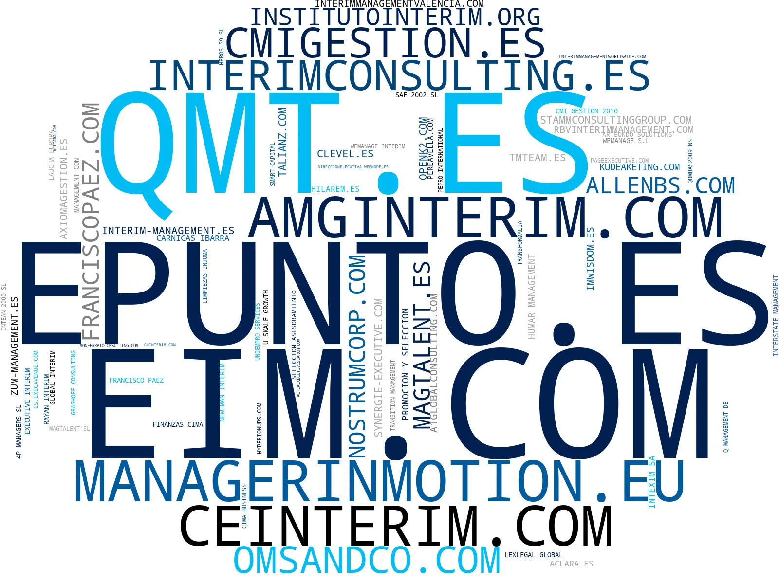 empresas mas grandes del nicho interim management ejecutivo, executive search internacional, mentoring gestión interina