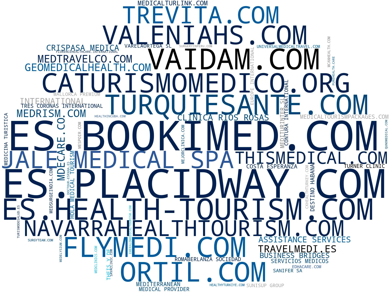 top competidores del nicho turismo médico, consultas médicas, cirugía facial