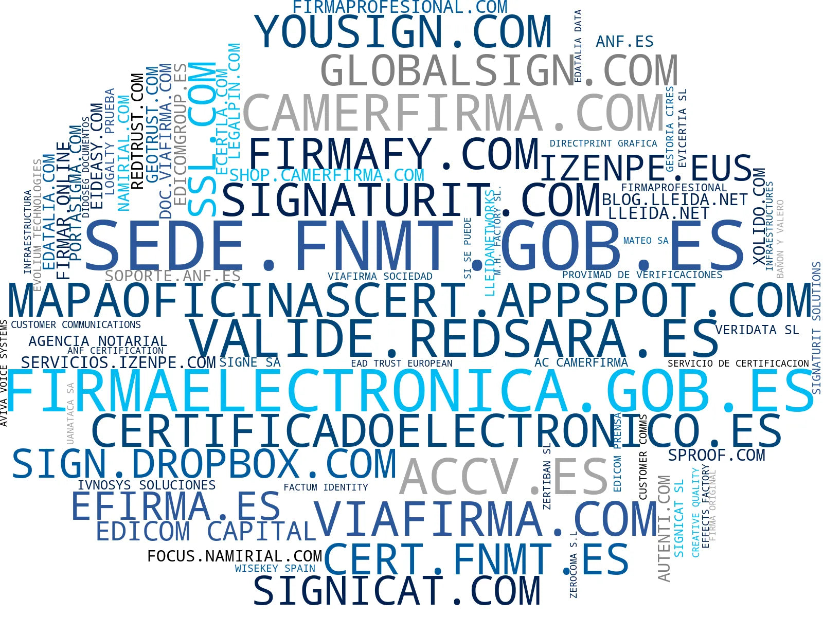 mapa de términos certificado digital, autenticación biométrica, firma electrónica cualificada