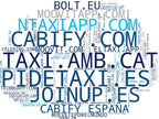 top competidores del nicho coche compartido, reserva de taxis, gestión de flotas taxi