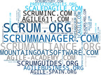 top competidores del nicho consultoría ágil, agile transformation, certificaciones SAFe