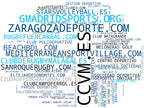 empresas mas grandes del nicho fútbol, torneos deportivos, voleibol