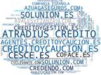 top empresas del rubro seguro de crédito, seguro de crédito dirigido, seguro de crédito complementario