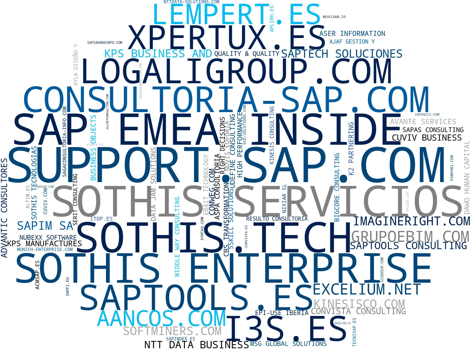 top competidores del nicho consultoría ERP, automatización de procesos, formación ERP