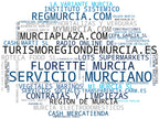 top competidores del nicho trámites administrativos, servicios públicos, guía de restaurantes