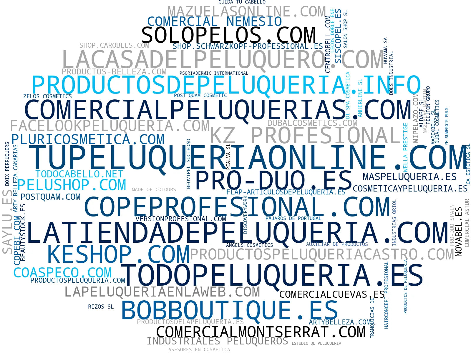 wordcloud de mercado productos peluquería, productos capilares, accesorios peluquería