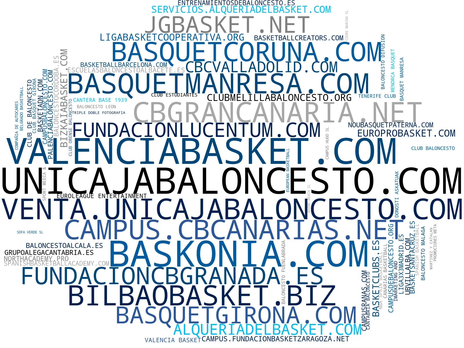 empresas españolas del sector torneos de baloncesto, merchandising deportivo, programas de desarrollo juvenil