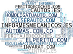top competidores del nicho peritaje de vehículos, peritaje de flotas, peritaje judicial