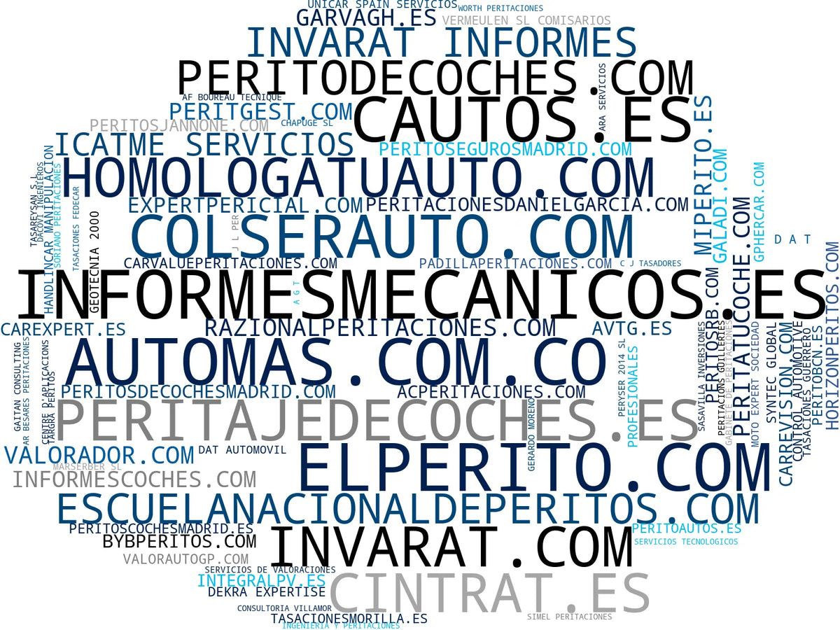 top competidores del nicho peritaje de vehículos, peritaje de flotas, peritaje judicial