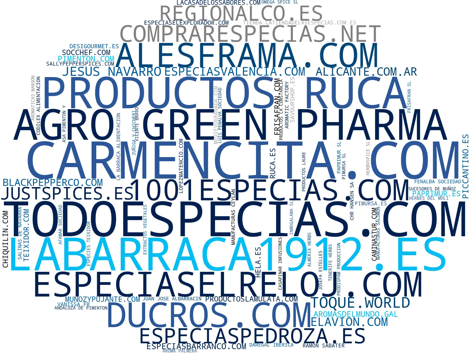 wordcloud de mercado especias gourmet, polvo de tomate, hierbas medicinales