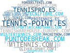 empresas mas grandes del nicho raquetas de tenis, raquetas de bádminton, cordajes de tenis