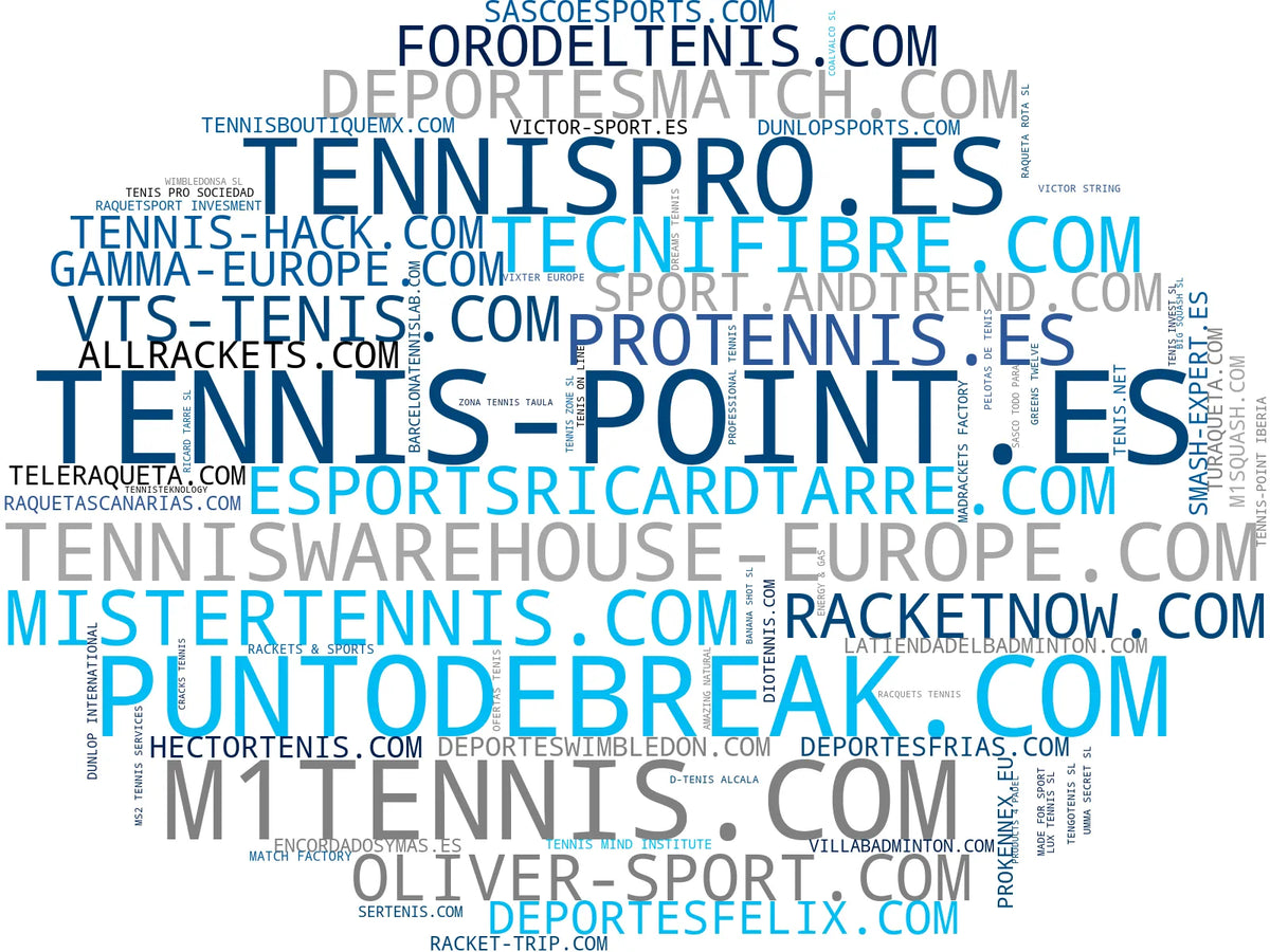 empresas mas grandes del nicho raquetas de tenis, raquetas de bádminton, cordajes de tenis