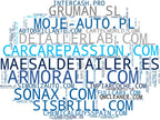 top empresas españa rubro productos limpieza coche, ambientadores coche, pulidores automotriz