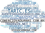 visualización de tendencias consultoría comercio exterior, logística internacional, cumplimiento aduanero