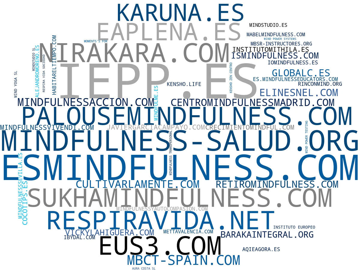 mapa de términos mindfulness, bienestar emocional, coaching