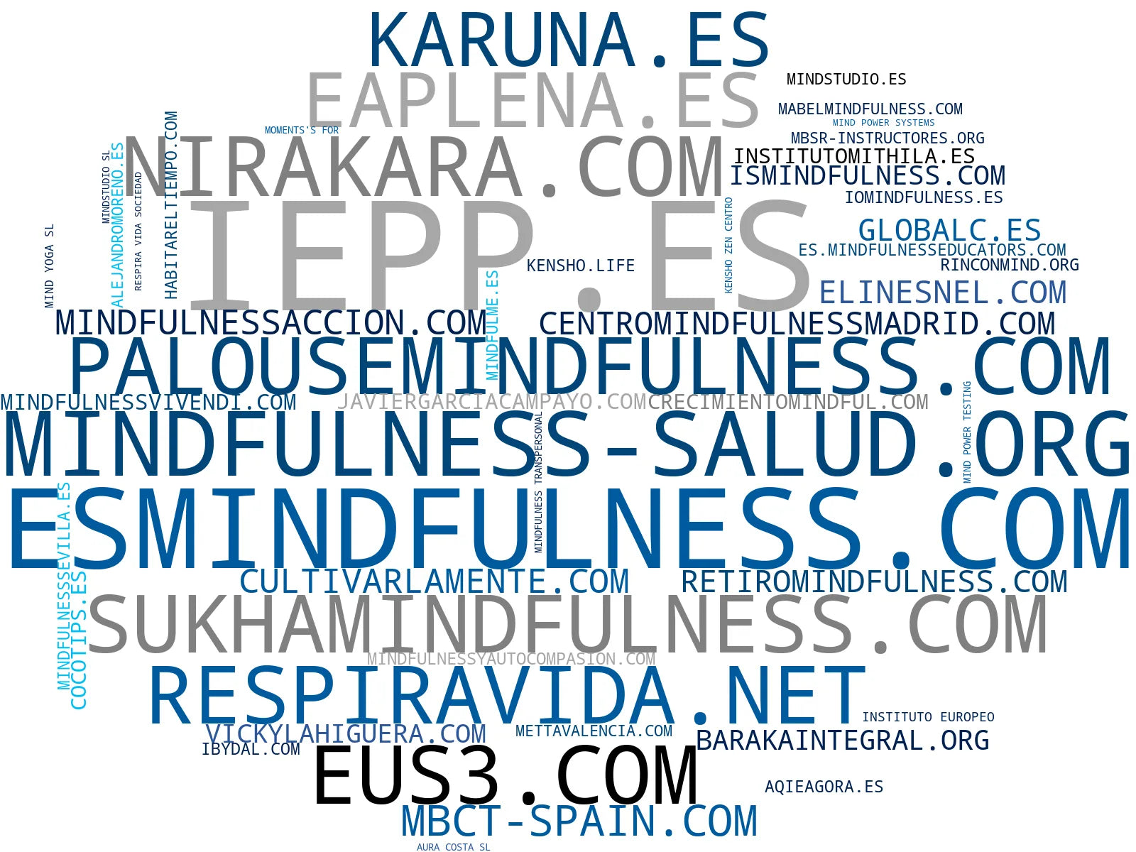 top empresas del rubro mindfulness, programas de mindfulness, neurofeedback