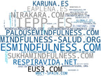 top empresas españa rubro mindfulness, coaching, retiros de mindfulness