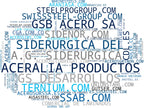 top empresas del rubro acero inoxidable, bobinas de acero, aceros recubiertos