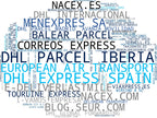 empresas mas grandes del nicho entrega de paquetes, transporte de paquetes, servicio de mensajería