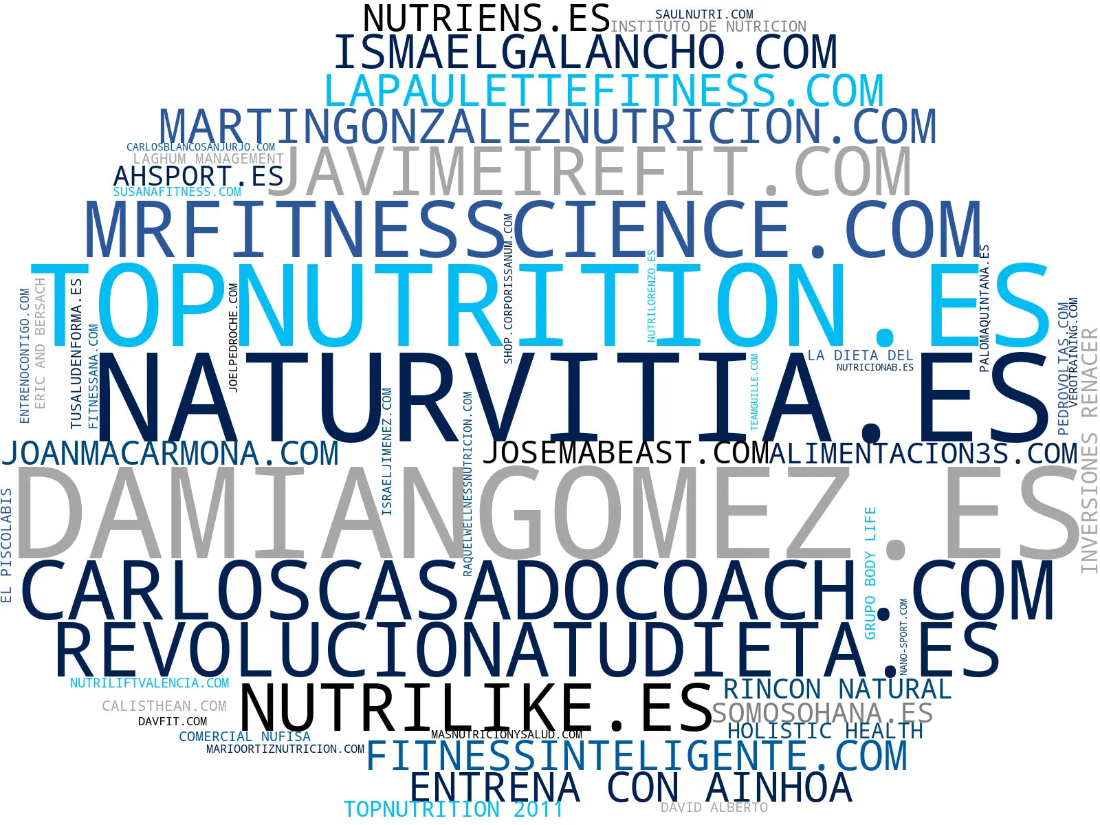wordcloud de mercado entrenamiento personal, entrenamiento físico, suplementación deportiva