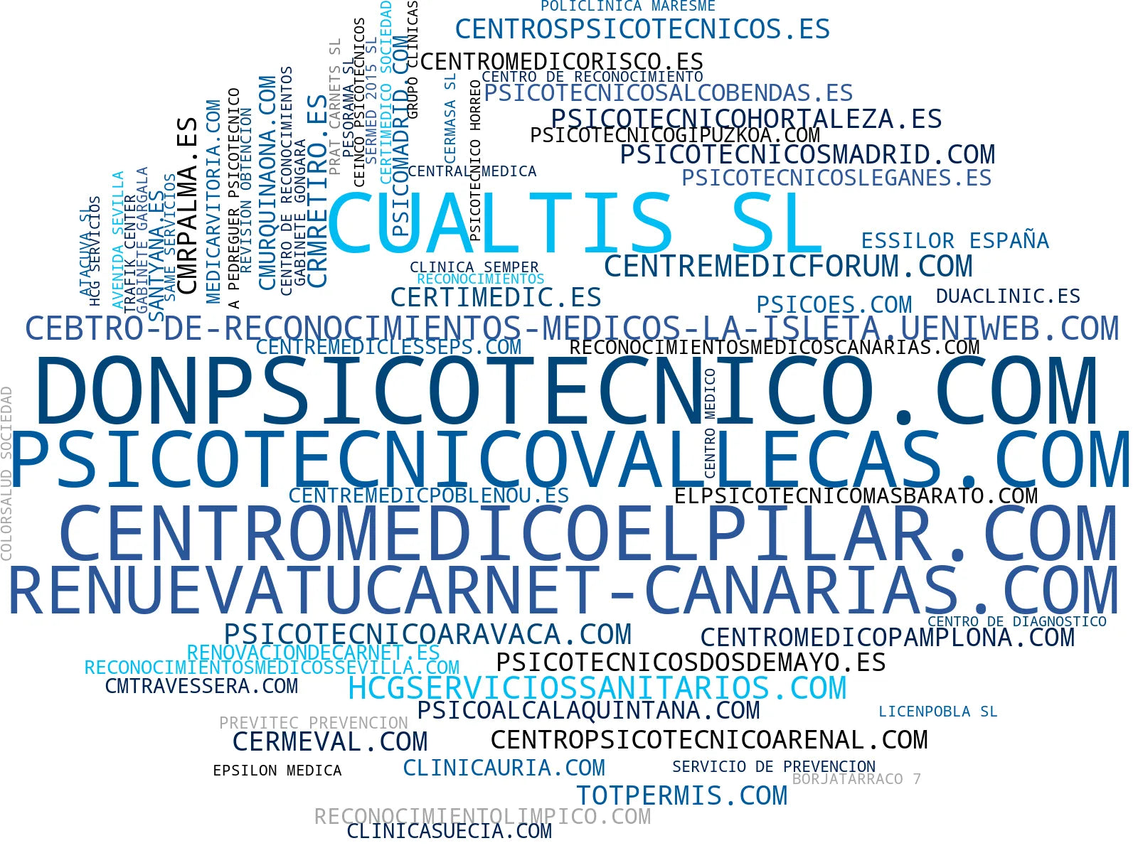 wordcloud de mercado certificados médicos, renovación carnet conducir, evaluaciones médicas licencia