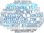 empresas mas grandes del nicho postproducción sonido, captura de sonido, diseño sonoro
