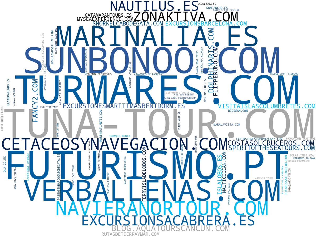 nube de conceptos avistamiento de cetáceos, actividades acuáticas, avistamiento de delfines